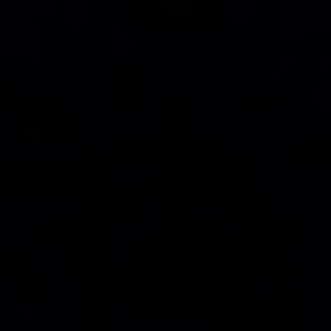 Meet your Posher, Bella